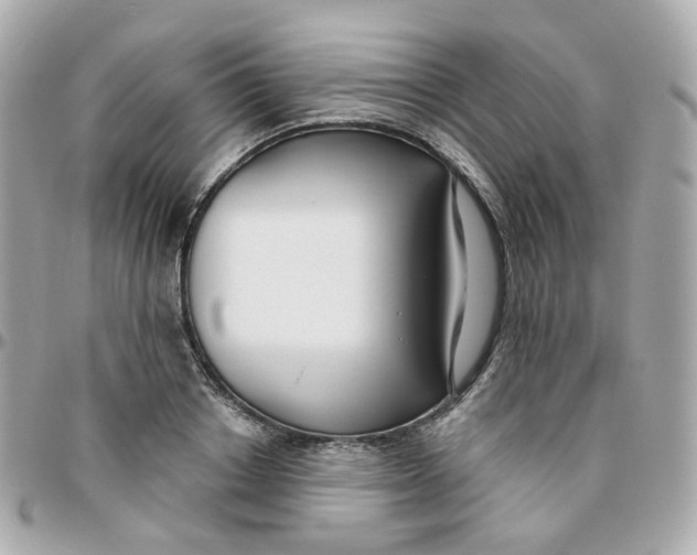 X0000095900842200802011126