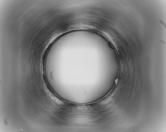 X0000095900843200802011126