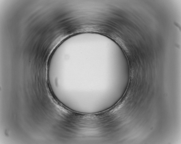 X0000095900844200802011126