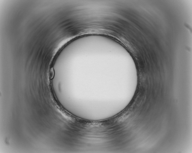 X0000095900846200802011126