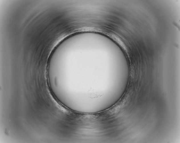 X0000095900847200802011126