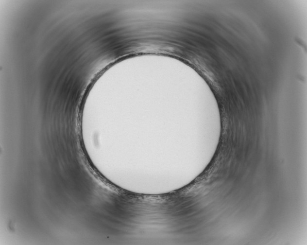 X0000095900848200802011126