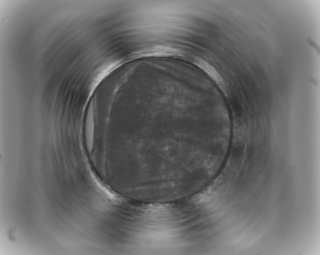 X0000095900850200802011126