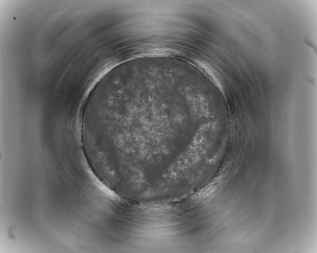 X0000095900851200802011126