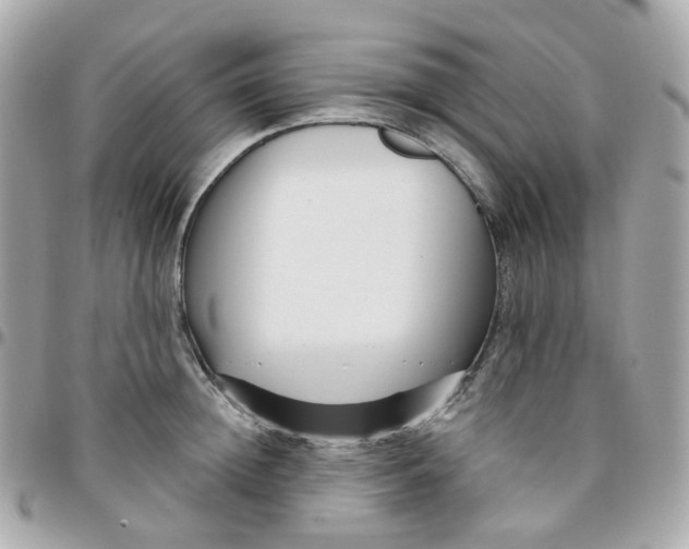 X0000095900852200802011127