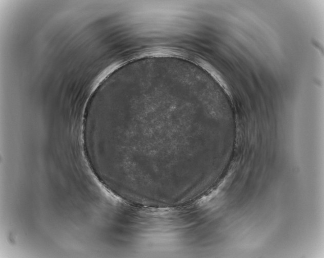 X0000095900853200802011127