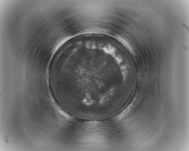 X0000095900854200802011127