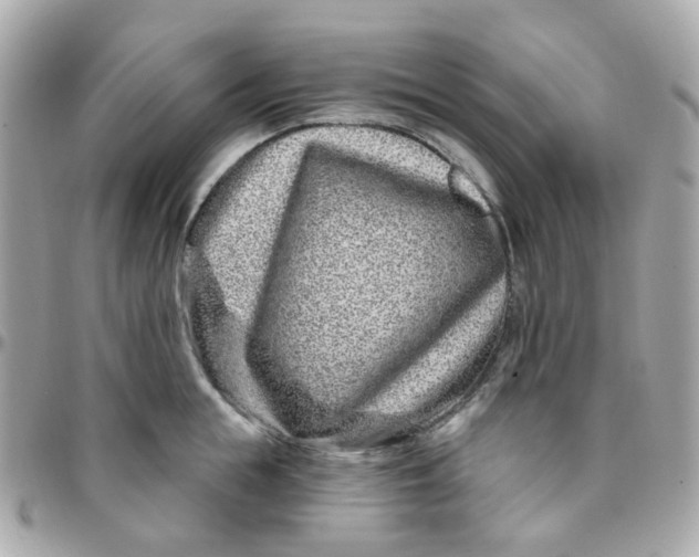 X0000095900855200802011127