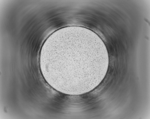 X0000095900856200802011127