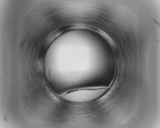 X0000095900857200802011127