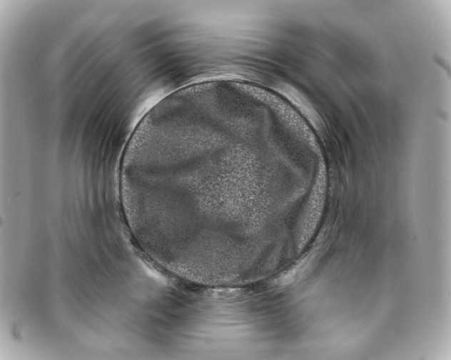 X0000095900858200802011127