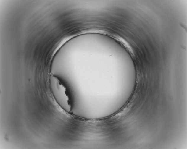 X0000095900860200802011127