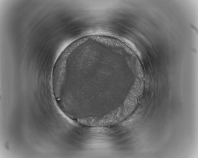 X0000095900863200802011127