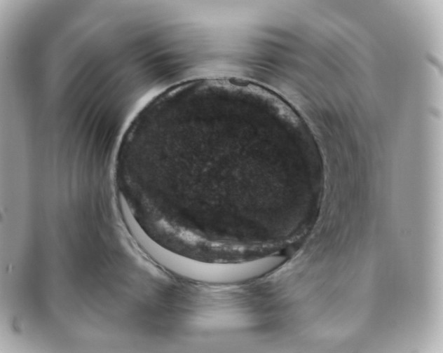 X0000095900864200802011127