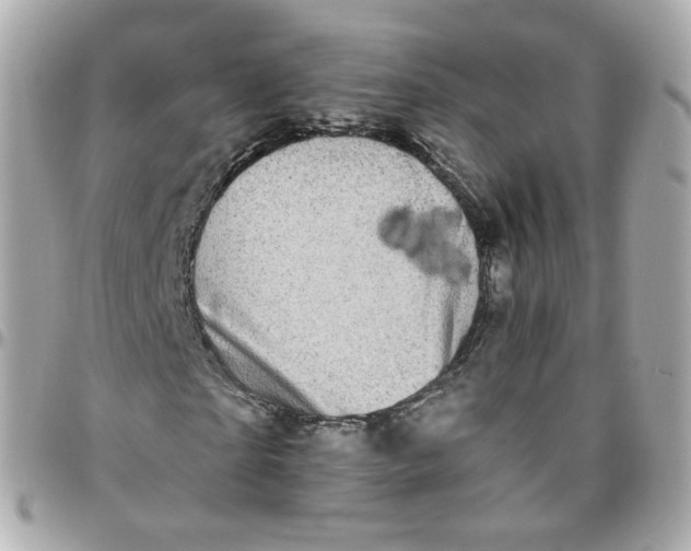 X0000095900865200802011126