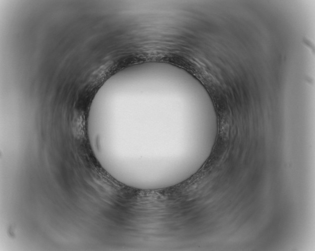 X0000095900866200802011126