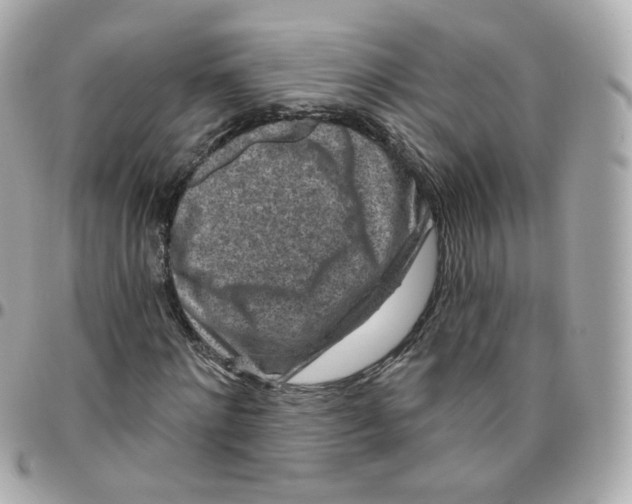 X0000095900868200802011126