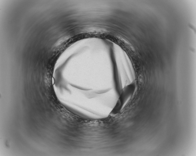 X0000095900869200802011126