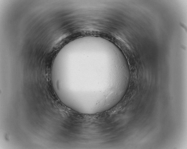 X0000095900870200802011126