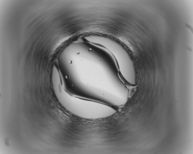 X0000095900872200802011126