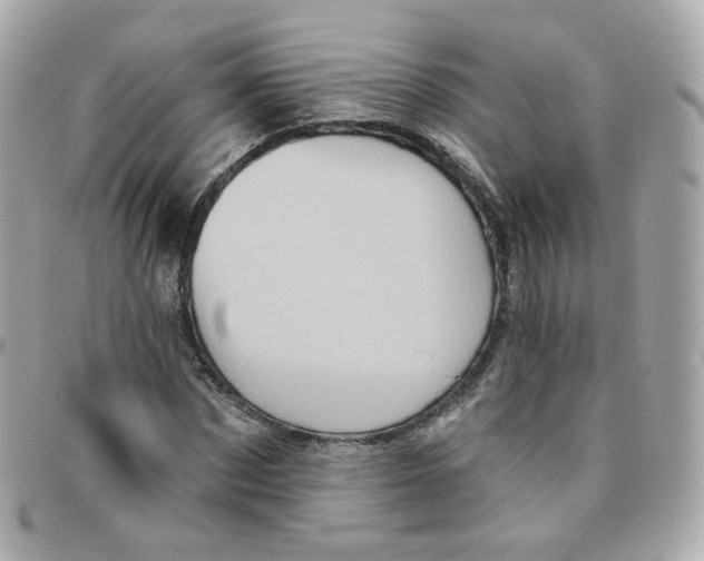 X0000095900873200802011126