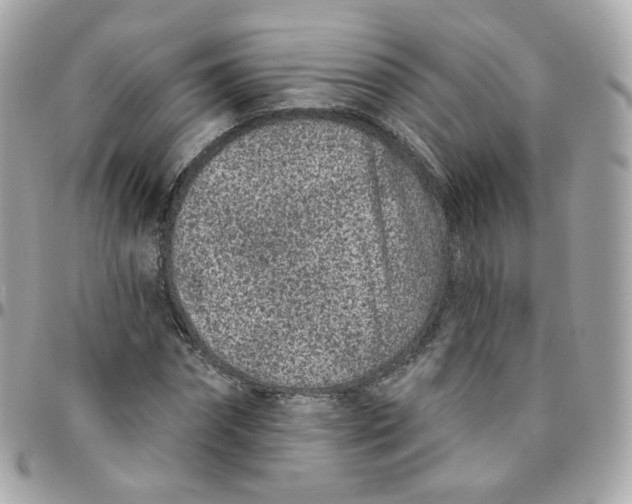 X0000095900874200802011126