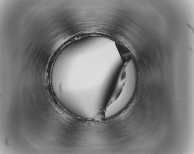 X0000095900876200802011126