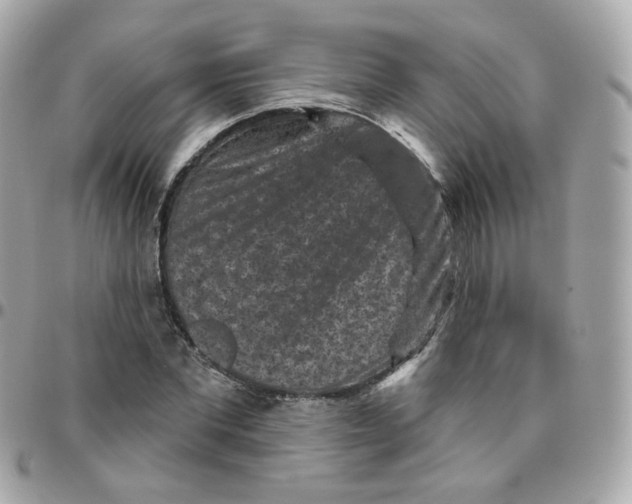 X0000095900877200802011126