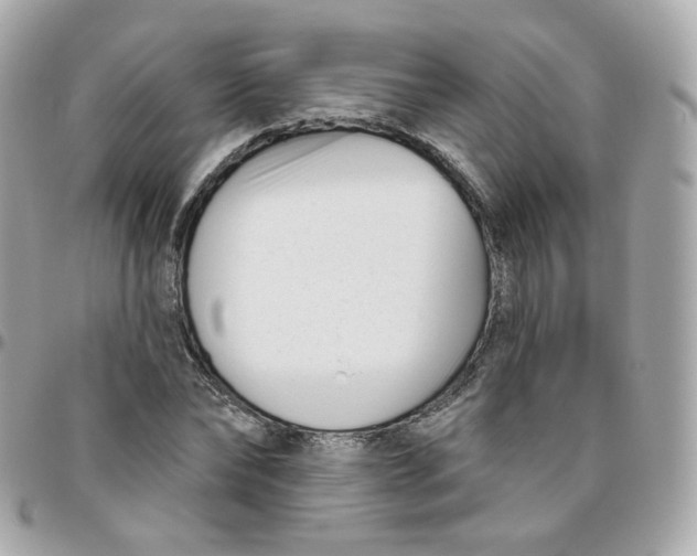 X0000095900878200802011126