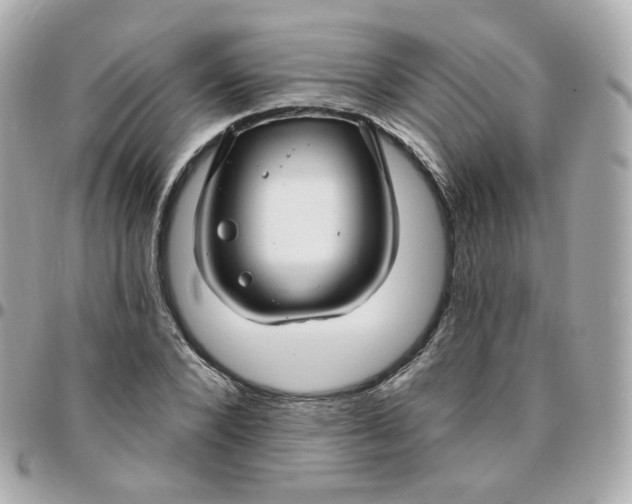 X0000095900880200802011126