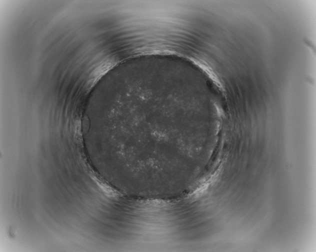 X0000095900881200802011126