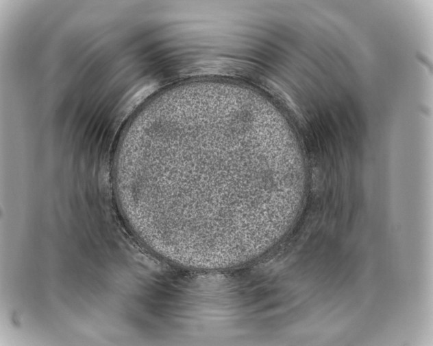 X0000095900882200802011126