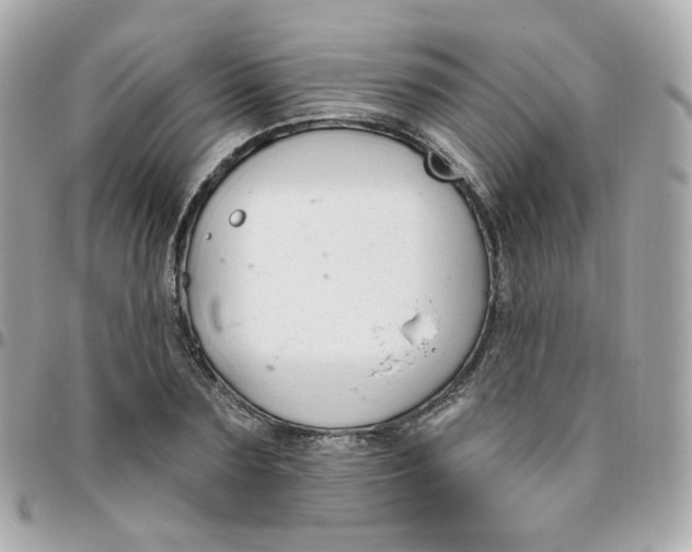 X0000095900883200802011126