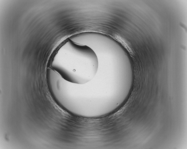 X0000095900884200802011126