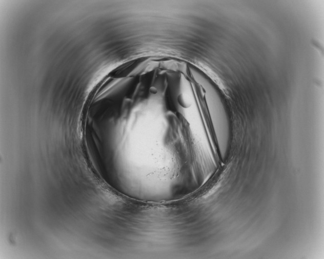 X0000095900885200802011126