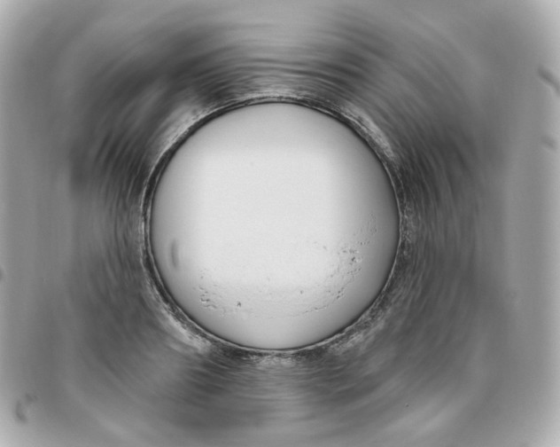 X0000095900890200802011126