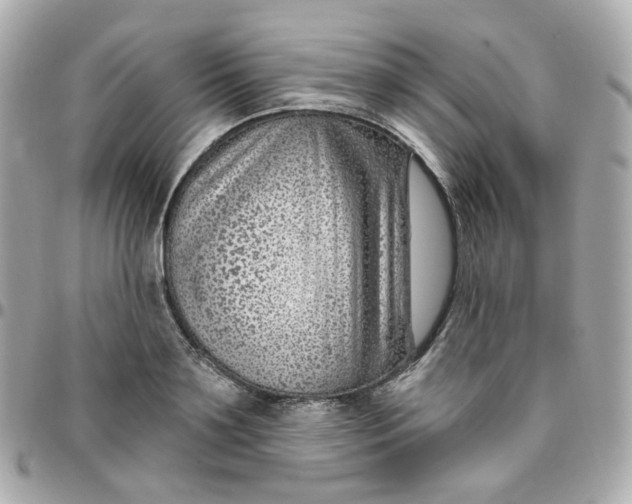 X0000095900891200802011126