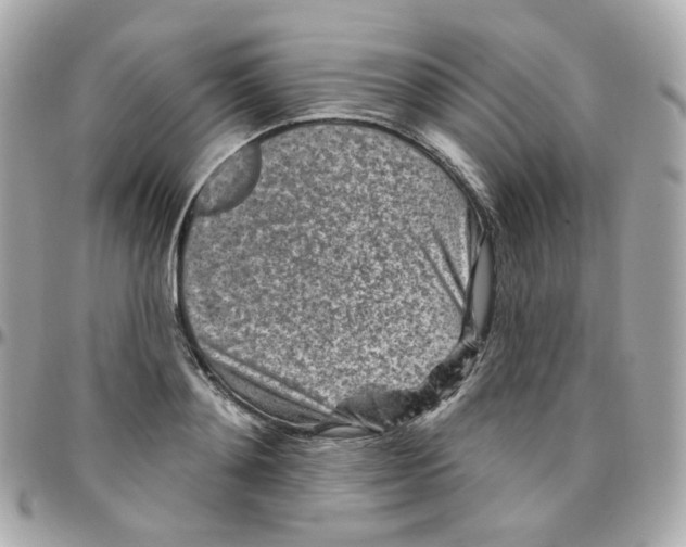 X0000095900892200802011126