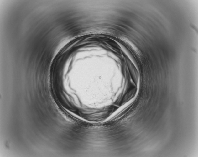 X0000095900894200802011126