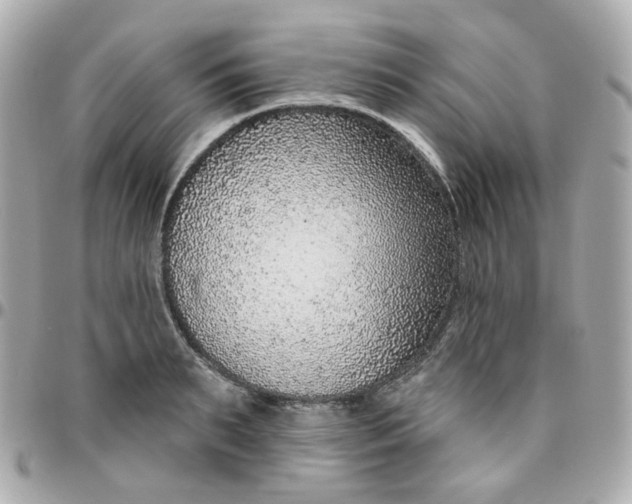 X0000095900895200802011126