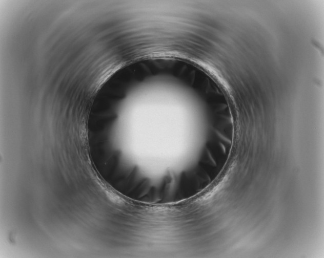 X0000095900897200802011126