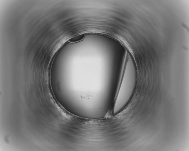 X0000095900898200802011126