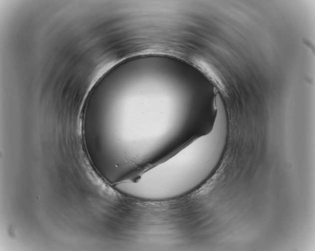 X0000095900900200802011126