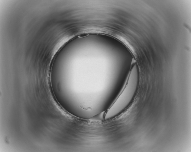 X0000095900901200802011126