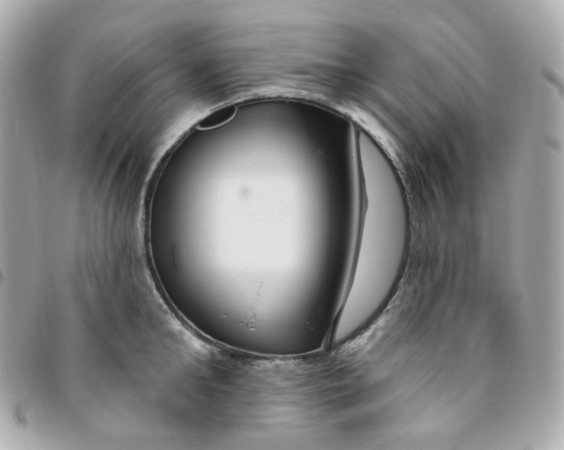 X0000095900902200802011126