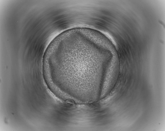 X0000095900903200802011125