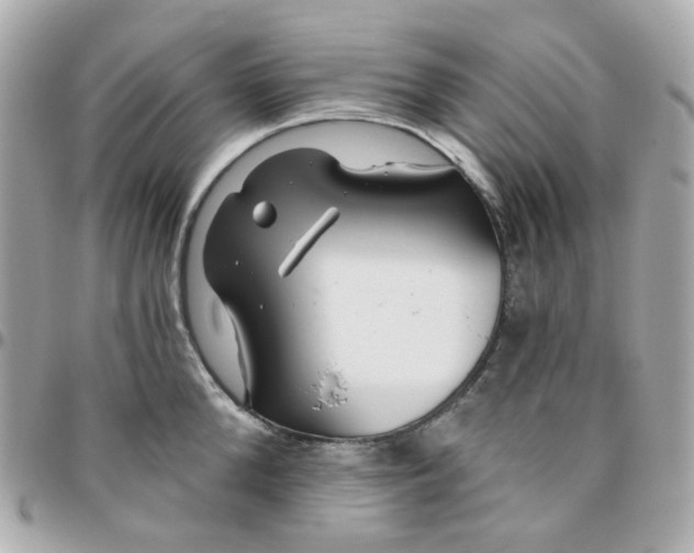 X0000095900904200802011125