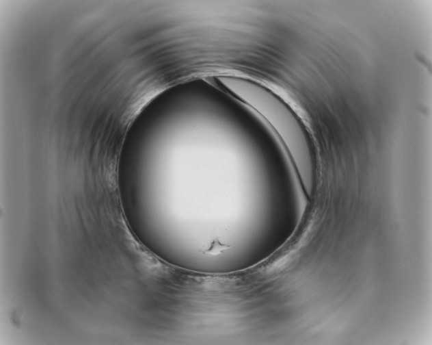 X0000095900905200802011125