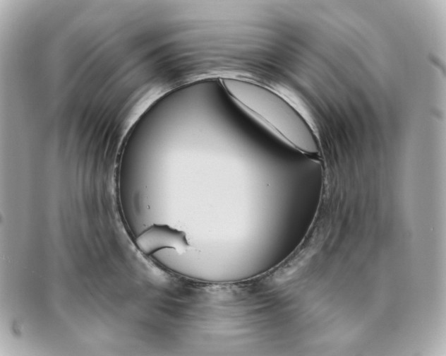 X0000095900906200802011125