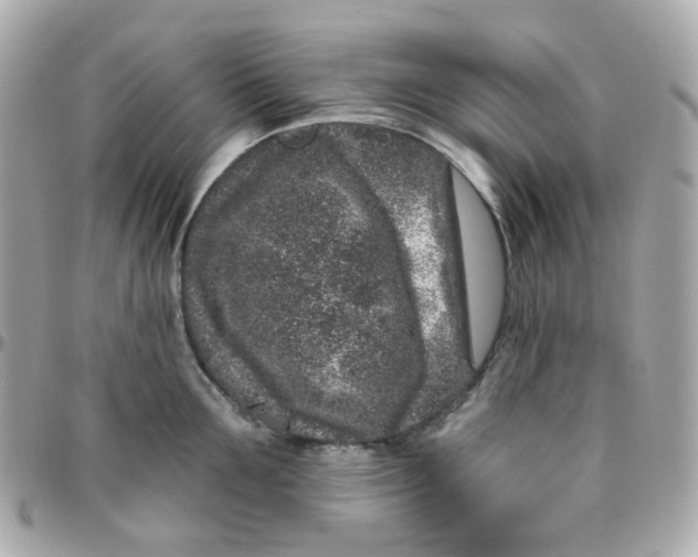 X0000095900907200802011125